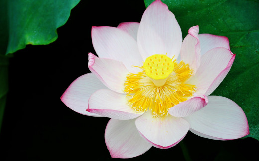 930782 (a): :2560x1600